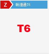 畅捷通T6-HR